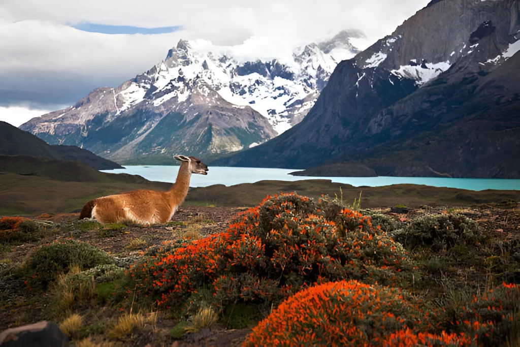 Chile tour package